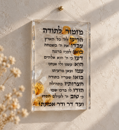 מזכרת מהחתונה- מזמור לתודה ( לקיר)